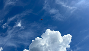 Unlocking the Skies: BVLOS NPRM and Critical Infrastructure Protections Head to the White House